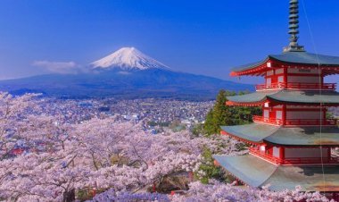 दुनिया में समय से पूर्व आ गई बसंत ऋतु, यूरोप में छंटी बर्फ, जापान मैक्सिको में पहले ही खिल गए फूल