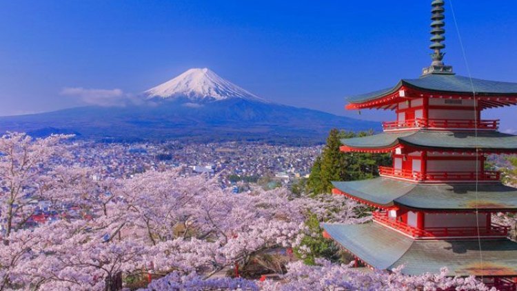 दुनिया में समय से पूर्व आ गई बसंत ऋतु, यूरोप में छंटी बर्फ, जापान मैक्सिको में पहले ही खिल गए फूल