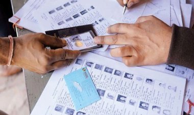 Election 2024: Voter List में आपका नाम है या नहीं? घर बैठे इंटरनेट पर या मैसेज करके ऐसे कीजिए चेक