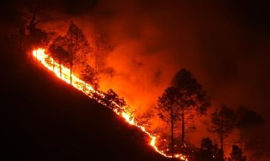 क्या है पहाड़ पर आग फैलने की वजह? एक स्थान पर बुझती तो दूसरे पर भड़क उठती हैं लपटें