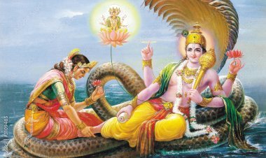 मोहिनी एकादशी पर क्या करें और क्या न करें: