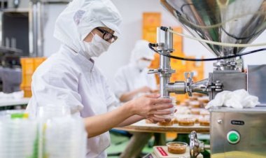 दूध में डिटर्जेंट और कैंडी में डिशवॉश लिक्विड, सरेआम हो रहा मिलावट का डरावना खेल, कहीं आप भी तो नहीं खा रहे?