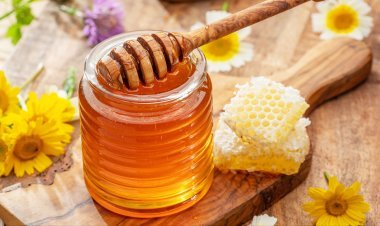आयुर्वेद का रामबाण नुस्खा: शहद के साथ मिलाएं ये 2 चीजें, सीने का बलगम होगा साफ और बढ़ेगी इम्यूनिटी
