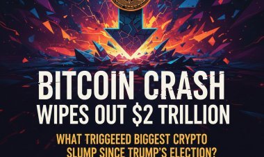 बिटकॉइन क्रैश: क्रिप्टो बाजार से $2 ट्रिलियन साफ, ट्रंप के चुनाव के बाद सबसे बड़ी गिरावट के क्या हैं कारण?
